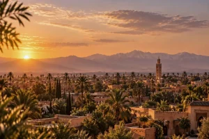 Immobilier à Marrakech : Cameron Immobilier valorise une sélection de villas de prestige, riads et appartements d&rsquo;exception